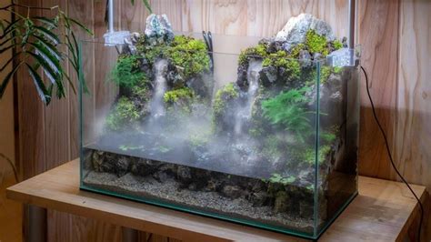 Making An Aquaterrarium With Two Flowing Waterfalls In 2020 Diy