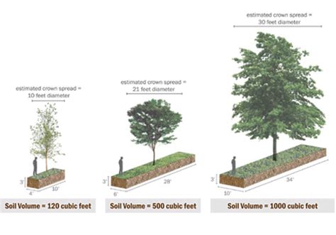 High Performance Urban Forestry For Green Infrastructure Boston