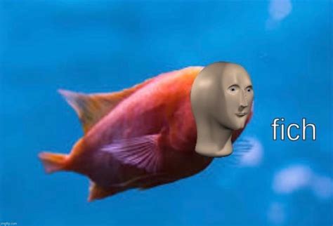 Image Tagged In Meme Man Fish Imgflip