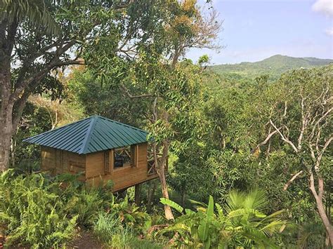 El Yunque Rainforest Puerto Rico Resorts Hotels And Villas Eco Lodge El Yunque Rainforest