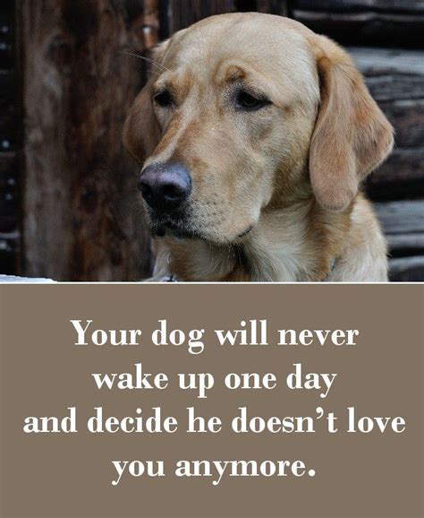√ Love Cute Dog Quotes And Sayings