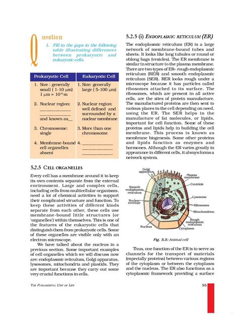 Ncert Book Class 9 Science Chapter 5 The Fundamental Pdf