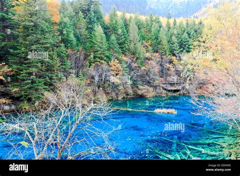 Colored Lake In Jiuzhaigou China Stock Photo Alamy