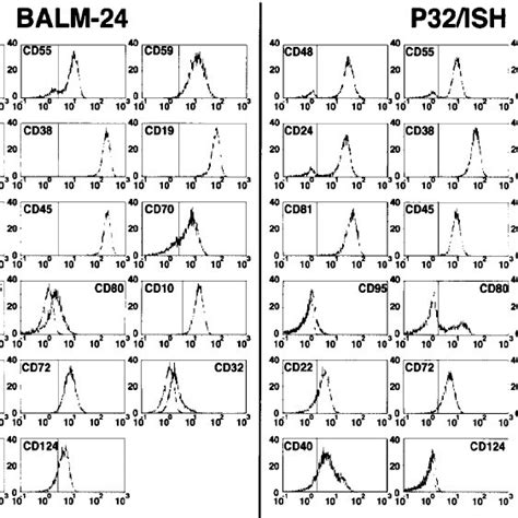 Expression Of Cell Surface Antigens On Balm 24 And P32ish Balm 24