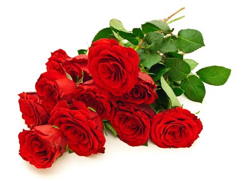 Banco De Imágenes Gratis Hermoso Ramo De Rosas Rojas Red Roses Flowers
