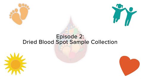 Newborn Screening Dried Blood Spot Sample Collection Youtube