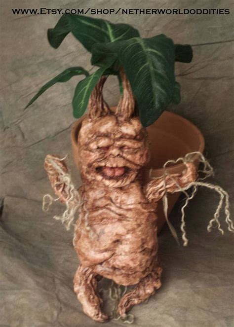 In Stock Large Harry Potter Inspired Mandrake Root Plant In Etsy
