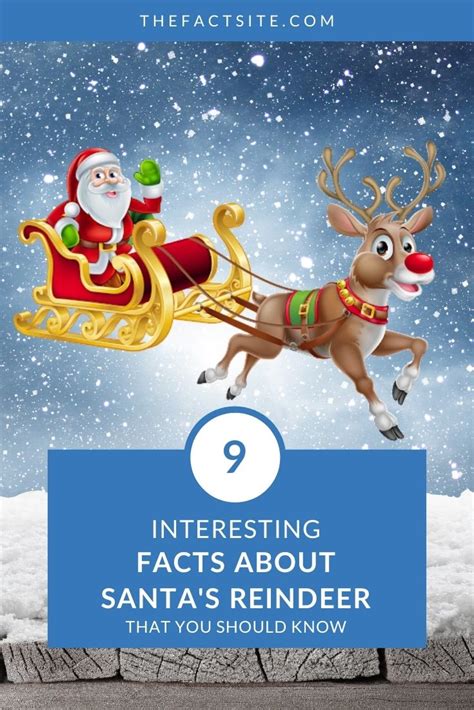 9 Interesting Facts About Santas Reindeer The Fact Site
