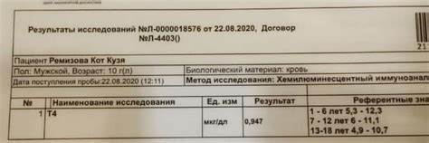 Кот диабет диета Кот Кузя, 10 лет, диабет - 18 сентября 2020 - Форум Зоовет Кот Кузя, 10 лет, диабет - 18 сентября 2020 - Форум Зоовет Кот диабет диета