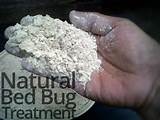 Bed Bug Treatment Home Remedies