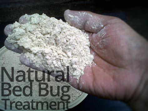 Natural Bed Bug Treatment For Lasting Bed Bug Relief