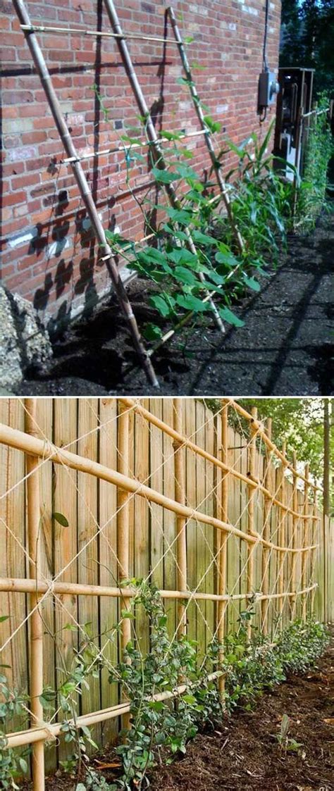 Using Bamboo To Build A Garden Trellis Against The Wall Gardentrellis