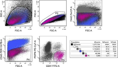 Gating Strategy For Flow Cytometry Based Sorting Of Becs P1 P5 Flow