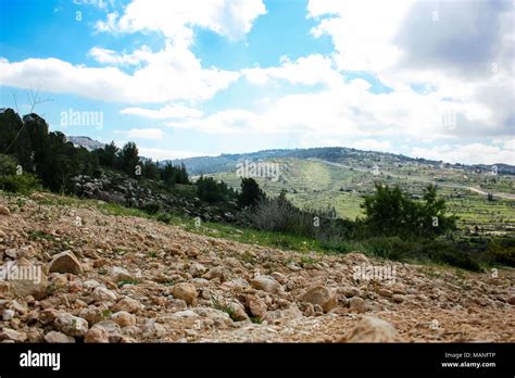 Nature And Landscape Around Jerusalem In Israel Landscape And Nature At