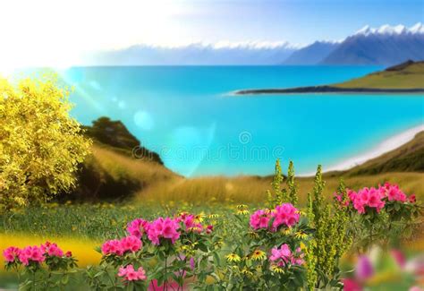 Wild Flowers And Trees Blue Sky Sunlight And Mountain On Front Sea