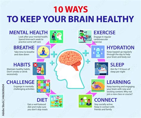 10 Ways To Keep Your Brain Healthy Infographic Vector Illustration