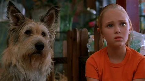 The 101 Greatest Dogs In Film History Consequence