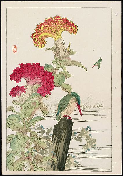 Fine Japanese Woodblock Bird Prints