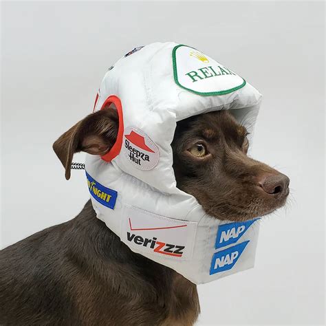 Rajeev Basu Makes Luxury Padded Helmets For Dogs To Sleep In Helmet