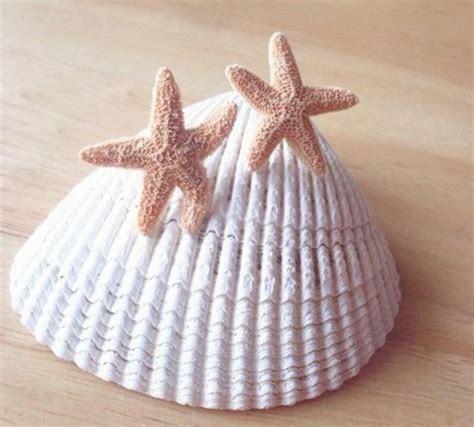 Starfish Aquamarine Wiki Fandom Powered By Wikia