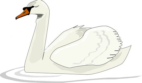 Download Trumpeter Swan Clipart For Free Designlooter 2020 👨‍🎨