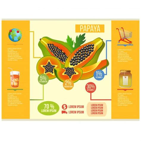 Papaya Infographic Template In 2020 Infographic Templates