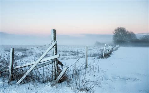 Wallpaper Landscape Snow Winter Ice Morning Mist Frost Wind