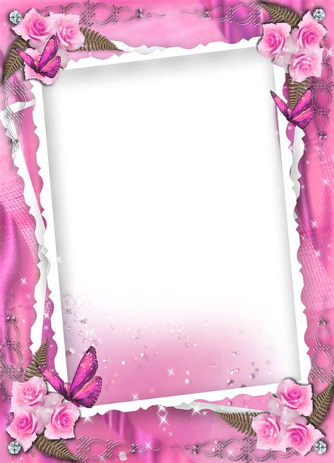 Beautiful Pink Transparent Frame With Roses And Butterflies Framed