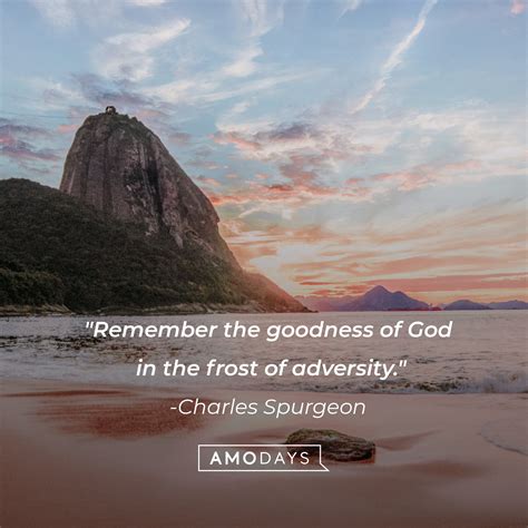 52 Quotes About Gods Goodness Wise Words To Reconnect With Your Faith