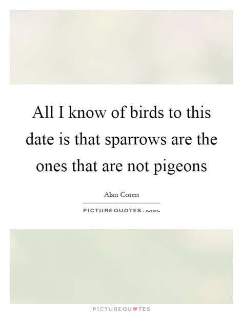 The whirls aren't in the air anymore, the clawing isn't at each other's body, the nibbing isn't. Pigeons Quotes | Pigeons Sayings | Pigeons Picture Quotes