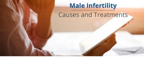 Male Infertility Causes And Treatments City Fertility