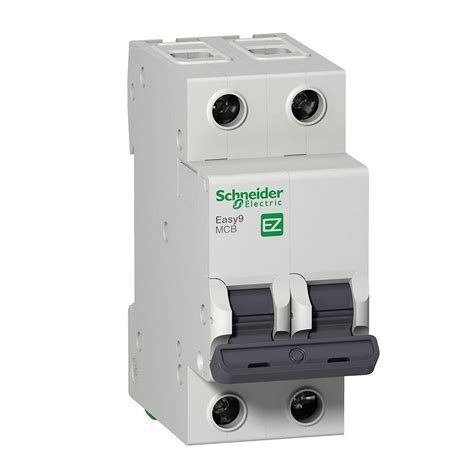Interruptor Termomagnetico 2x50a 4 5ka Schneider Easy