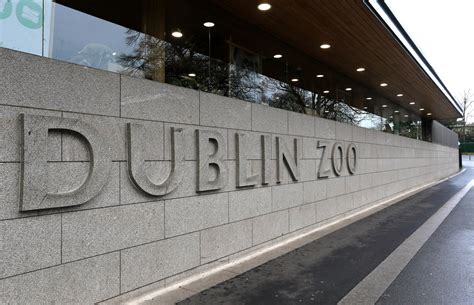Dublin Zoo Announce They Will Close For Three Days During Popes Visit