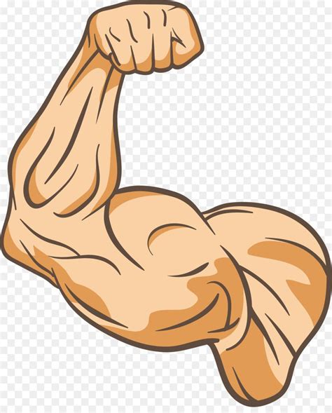Cartoon Muscle Arm Drawing
