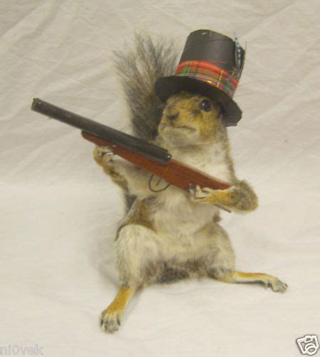 Hand Over The Nuts And Nobody Gets Hurt Squirrel Squirrel Funny