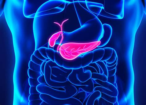 These tests help your doctors visualize your internal organs, including the pancreas. High Insulin Levels Can Cause Pancreatic Cancer: Study ...