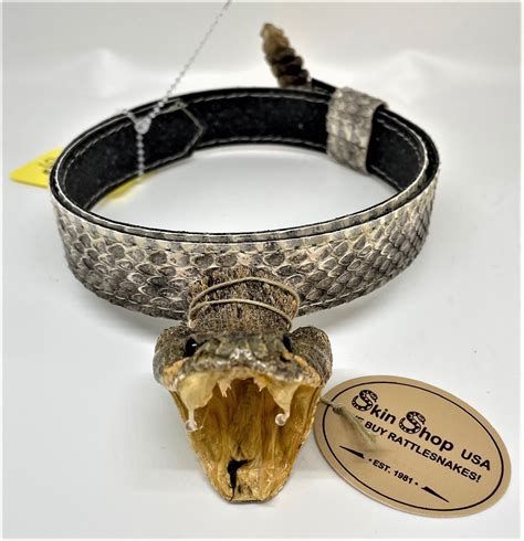 Genuine Rattlesnake Head And Rattle Hatband Spencers Western World