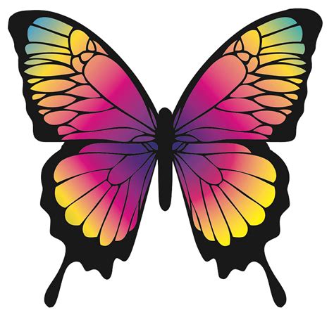 Colourful Butterfly Clipart Free Download Transparent Png Creazilla