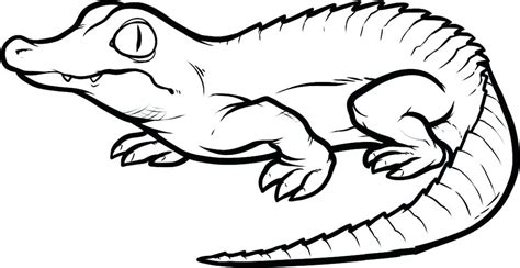 Florida gator coloring pages free. Florida Gators Drawing | Free download on ClipArtMag