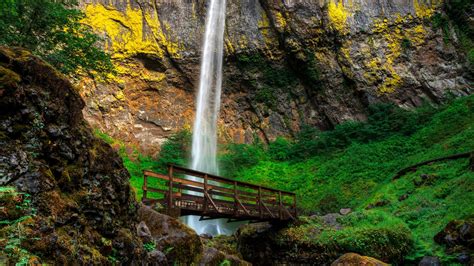 Wallpaper Elowah Falls Waterfall Bridge Rocks Moss Oregon Usa