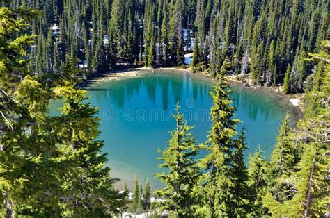 Lake With Blue Green Water Surrounded By Evergreen Trees Stock Image