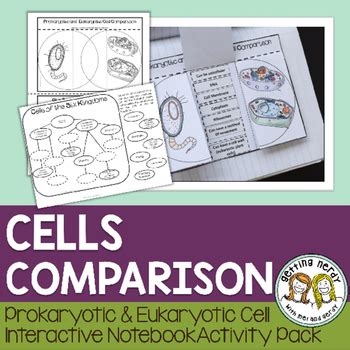 Check spelling or type a new query. Plant Animal and Bacterial Cell Comparison - Science ...