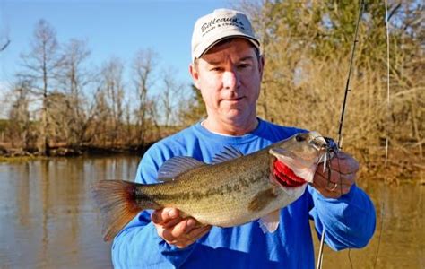 They also report on what type of tackle and bait are working the best. Jig fishing tips for Atchafalaya Basin bass