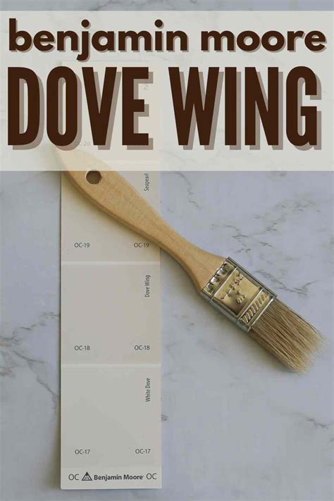 Benjamin Moore Dove Wing Oc Ultimate Review Pictures