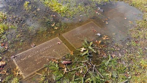 Underwater Veterans Graves At Forest Green Park Cemetery