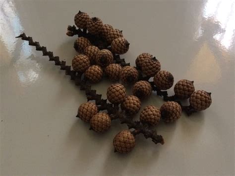 Translations of the phrase adalah penjudi from indonesian to english and examples of the use of adalah penjudi in a sentence with their translations: Karya Husein - Laman 4 dari 11 - Teknologi dan Pengetahuan