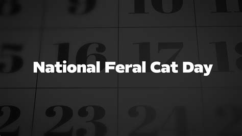 National Feral Cat Day List Of National Days