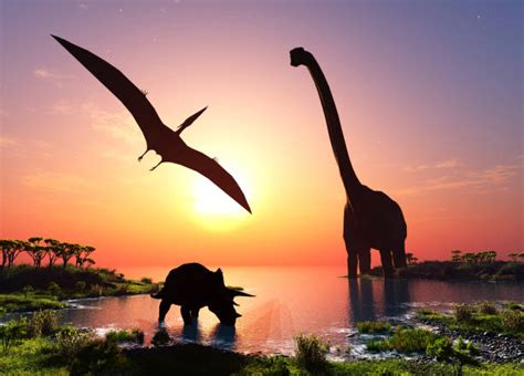 7400 Dinosaur Landscape Stock Photos Pictures And Royalty Free Images