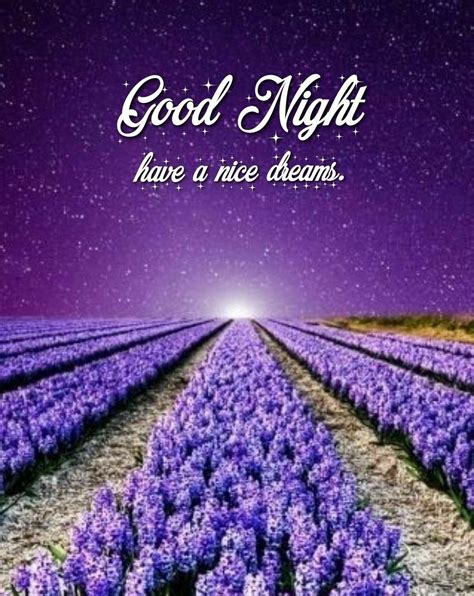 Good Night Saved By Sriram Good Night Thoughts Nice Dream Good Night