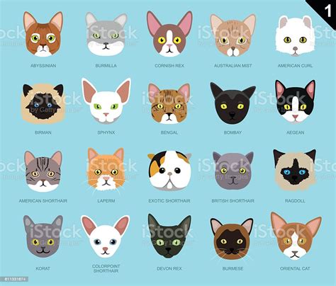 Cat Faces Icon Cartoon 1 Stock Vector Art And More Images Of